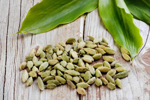 Benefits of Cardamom इलायची कैसे पहुंचाए फायदा