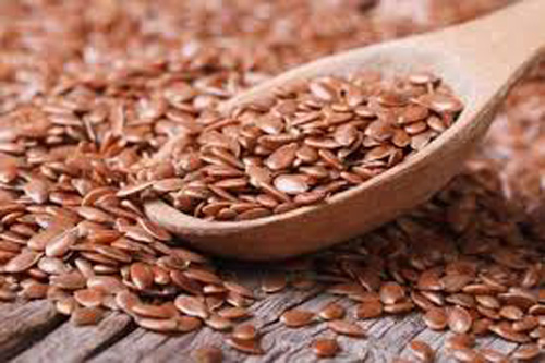 Benefits of Flax Seed in Winter सर्दी में अलसी के फायदे