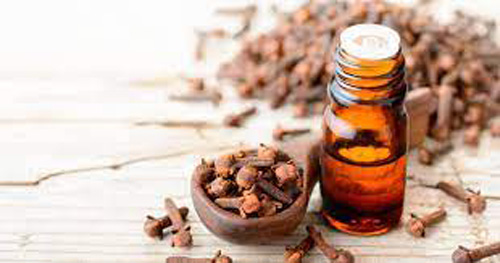 How to Make Health Clove Oil सेहत कैसे बनाये लौंग का तेल