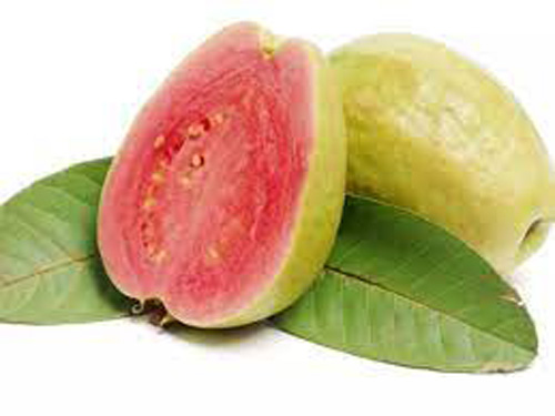 What Not to Eat After Eating Guava अमरूद खाने के बाद क्या नहीं खाना चाहिए?