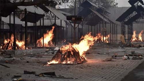 Bees attacked the Cremation Ground in Agra : अंतिम संस्कार में घाट पर पहुंचते ही लगानी पड़ी दौड़, वजह जानकर रह जाएंगे हैरान