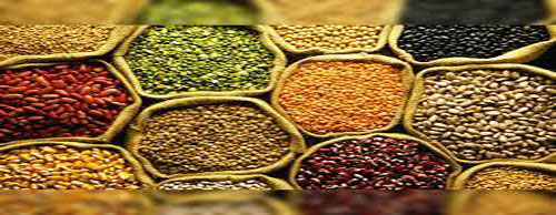 दाल के भावों में आई गिरावट, नई फसल के आवक से हुई है दामों में कमी : Fall in prices of pulses