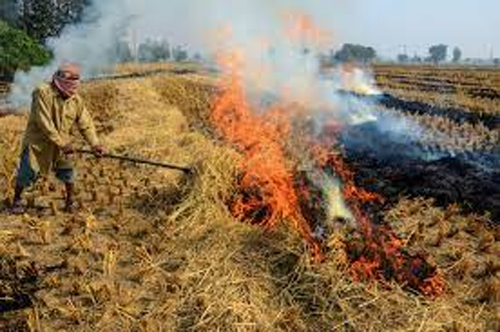 Farmer Dies Burning in the Field Kanpur : कानपुर में वृद्ध किसान की खेत में जलने से मौत