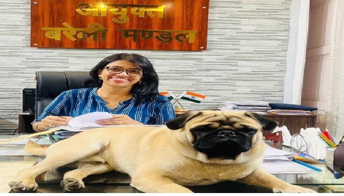 UP News: बरेली कमिश्नर का Dog Love, सोशल मीडिया पर फोटो वायरल होने के बाद हटाई