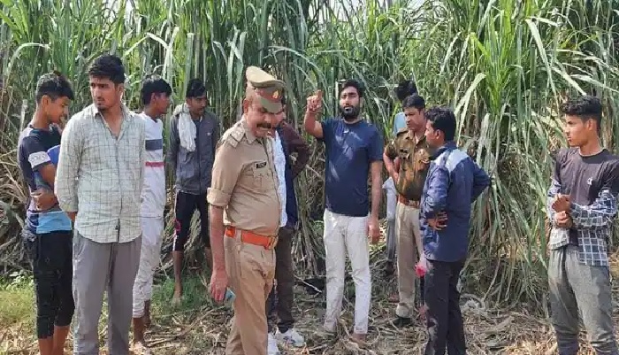 Meerut: गोवंश के अवशेष मिलने पर मचा हड़कंप, चौकी इंचार्ज पर गंभीर आरोप