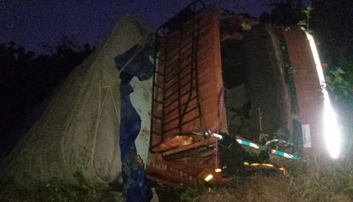 Truck accident in uttarakhand: उत्तराखंड के पौड़ी जिले में दर्दनाक हादसा, पैठाणी- पाबौ मार्ग पर खाई में गिरा ट्रक 