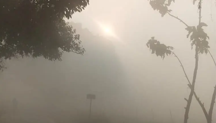 UP Weather: उत्तर प्रदेश- उत्तराखंड समेत उत्तर भारत में बढ़ेगी ठण्ड, घने कोहरे के साथ रहेगी ठिठुरन