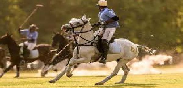 Indian Arena Polo League: 13 अप्रैल से शुरु होगा महामुकाबला, लोगों में जबरदस्त उत्साह,जानें कहां देख पाएंगे सीधा प्रसारण ?