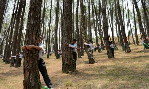 Meerut, Valentine week: पेड़ो को गले लगा कर मनाया हग डे ,एनवायरमेंट क्लब के सदस्य बोले वृक्ष देव नमोस्तुते