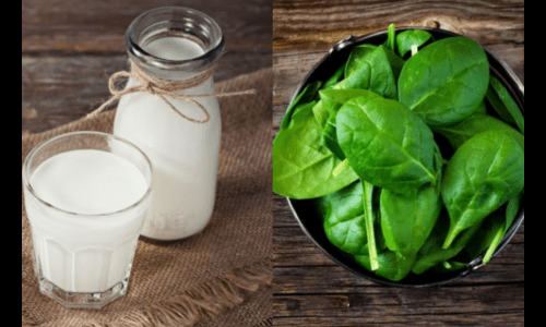 Health Tips:  पालक या फिर दूध?  किसके सेवन से शरीर को मिलता है ज्यादा Calcium, पढ़े रिपोर्ट