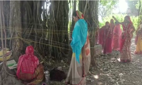 Vat Savitri Puja: आज वट सावित्री पूजा, अखंड सौभाग्य के लिए सुहागिनों ने रखा व्रत,जानें क्या है महत्व