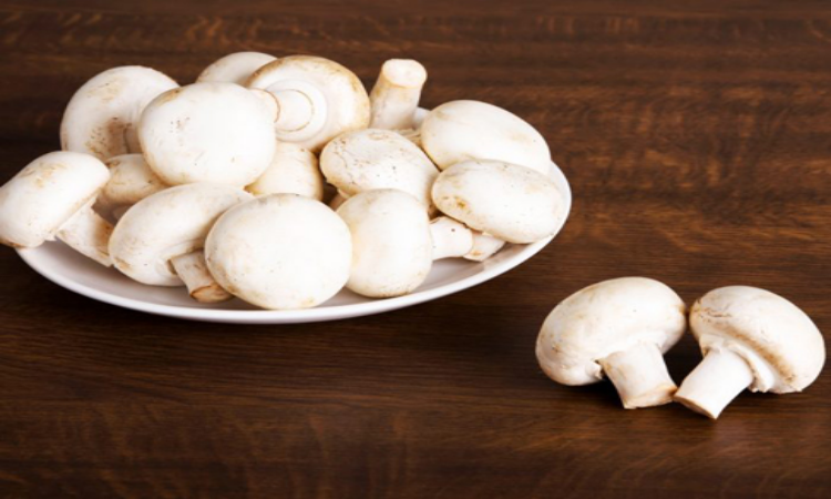 Mushroom Benefits For Health: सेहत के लिए बेहद फायदेमंद है मशरूम, जानें इसके फायदे