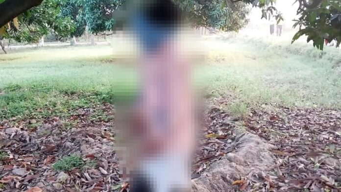 Mirzapur News: पेड़ पर लटका मिला युवक का शव, शव मिलने से इलाके में मची सनसनी.....