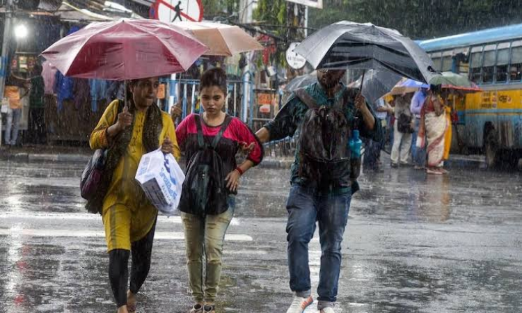 UP Weather: मौसम विभाग ने किया अलर्ट! अगले 24 घंटे में 25 जिलों में भारी बारिश की चेतावनी, जानें आपके जिले का हाल