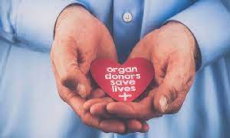 World Organ Donation Day : क्यों मनाया जाता है वर्ल्ड ऑर्गन डोनेशन डे ? जानें इसके महत्व के बारे में