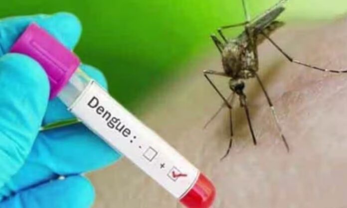 Gorakhpur News: गोरखपुर में डेंगू का बढ़ता प्रकोप, 38 मरीजो ने बढाई टेंशन, लोगो को जागरूक करने के लिए टीम का किया गठन...