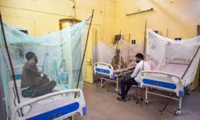 Uttarakhand dengue attack