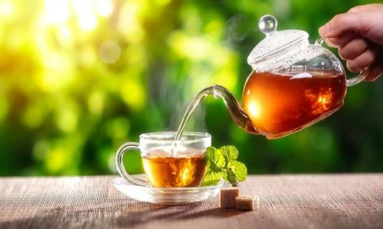 Healthy Tea: बदलते मौसम में इस चाय का कीजिए सेवन, कई बीमारियों से रहेंगे कोसों दूर