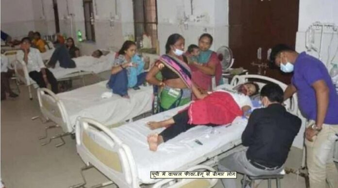 Lucknow News : राजधानी लखनऊ में वायरल बुखार और डेंगू का कहर गांव में मचा हाहाकार