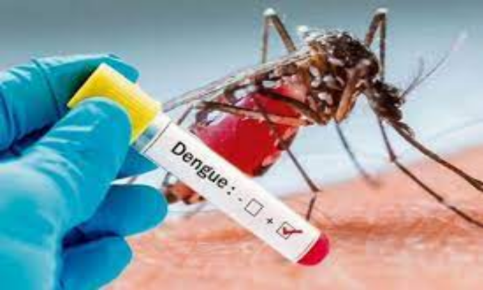 Dengue in Bangladesh: