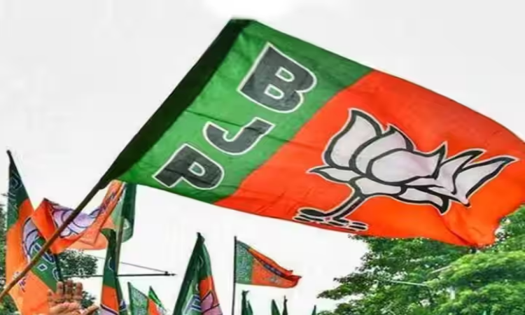 UP Politics: राज्यसभा और विधान परिषद खाली हो रही सीटों पर BJP किसे बनाएगी उम्मीदवार? जानिए क्या मिल रहे संकेत   