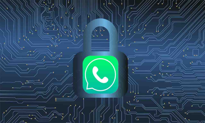 WhatsApp Account Safety