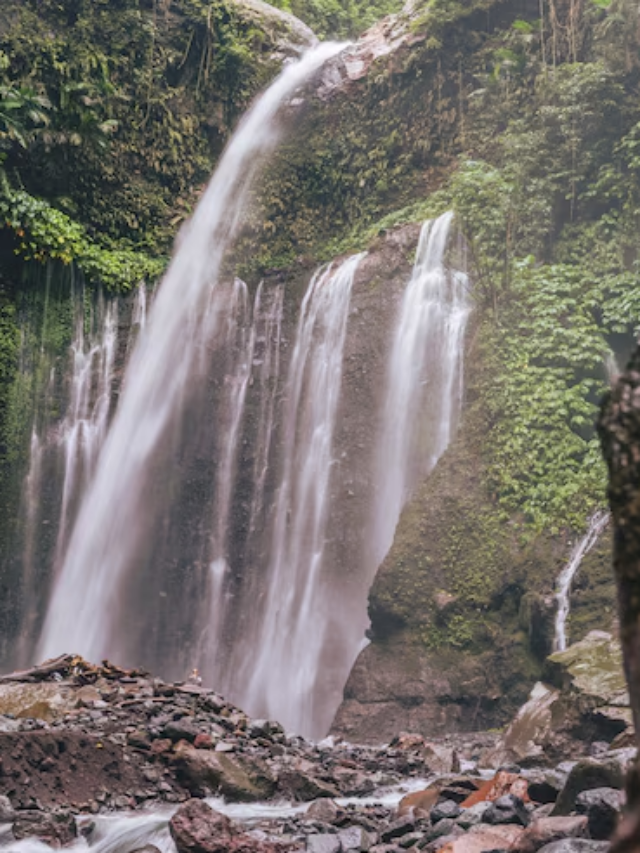 उत्तराखंड के ये 5 झरने हद से ज्यादा खूबसूरत, आप भी जरूर घूमें