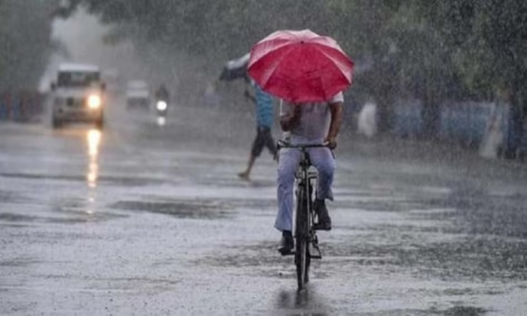 UP Weather: यूपी के इन जिलों में झमाझम बारिश का अलर्ट! जानिए अपने शहर का हाल