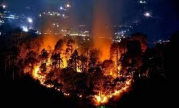 नैनीताल में जारी है जंगल की भयानक आग, बुझाने आ गई सेना
