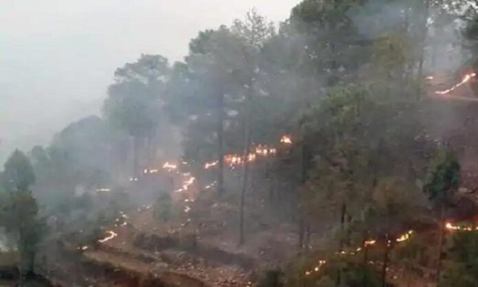Uttarakhand Fire News