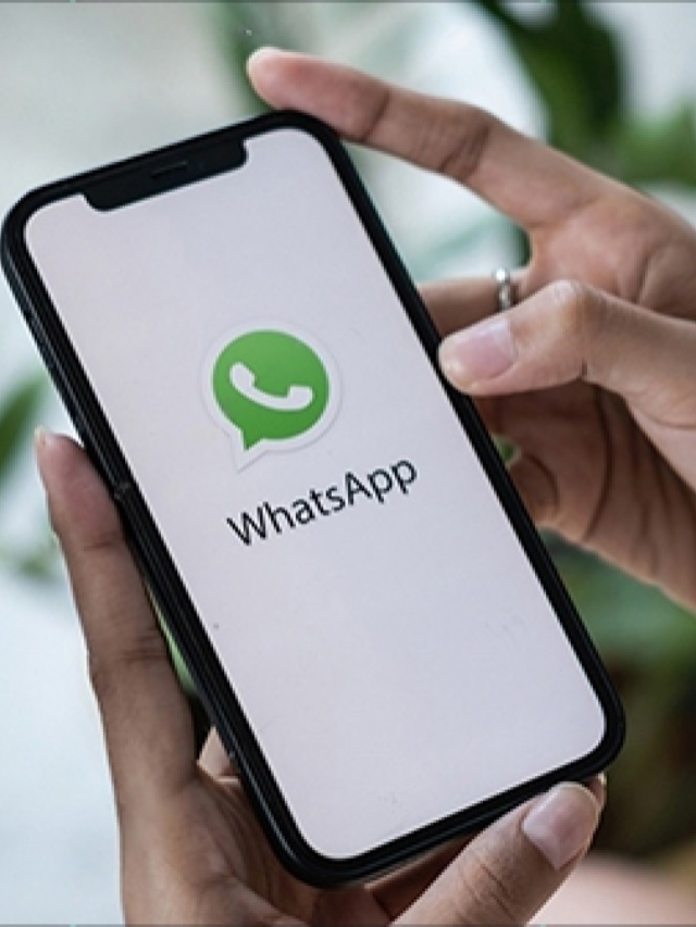 दिन भर WhatsApp चलाकर कमा डाले 6.5 करोड़