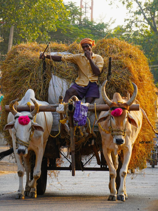 भारत में कुल कितने गांव हैं?