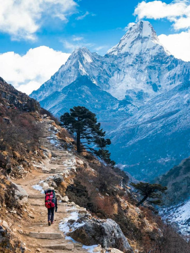 माउंट एवरेस्ट बना कूड़ेदान! 11 टन कचरा समेत मिली हैरान कर देने वाली चीजें