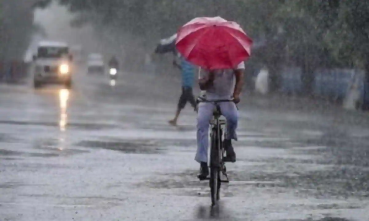 UP Weather: मानसून ने पकड़ी रफ्तार! बरेली समेत यूपी के इन जिलों में भारी बारिश का अलर्ट