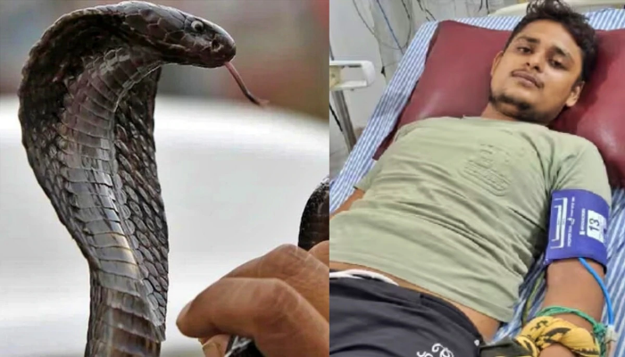 Snake Bite: युवक का दावा! सपने में आकर सांप ने दी धमकी, ‘तीन बार और डसूंगा, नौवीं बार तू नहीं बचेगा…’