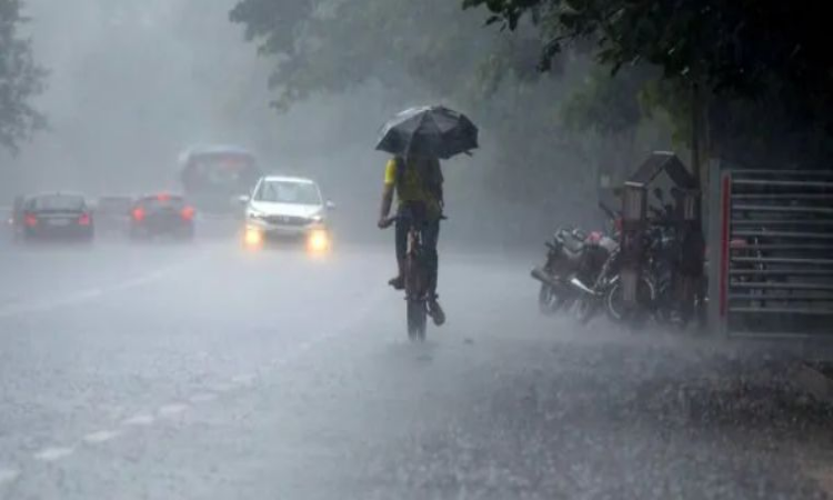 UP Weather: आज यूपी में खिलेगी धूप या होगी झमाझम बारिश? जानिए क्या कहते है मौसम विभाग